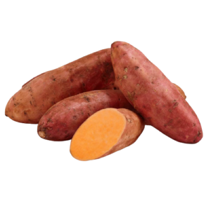 Sweet potato Egypt