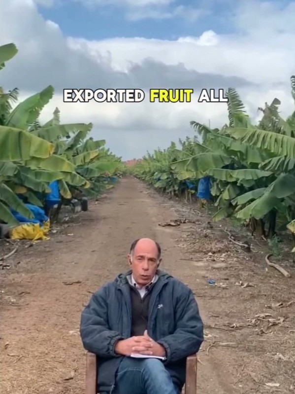 Tarek Badawy from Banana Island