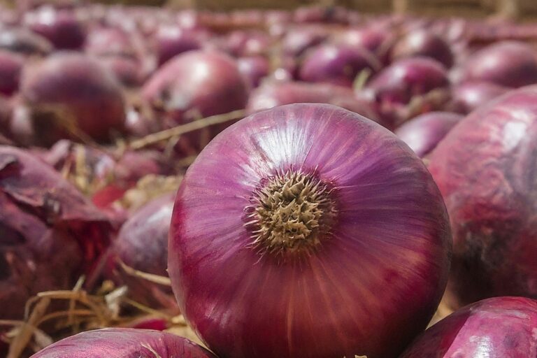The Global Appeal of Red Onions from Egypt