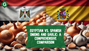 Egyptian vs. Spanish Onions and Garlic: A Comprehensive Comparison