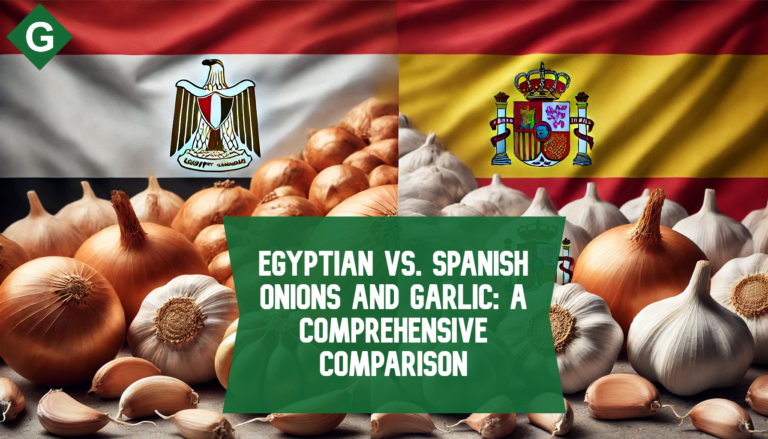 Egyptian vs. Spanish Onions and Garlic: A Comprehensive Comparison