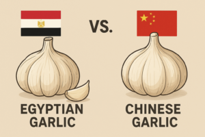 Egyptian vs Chinese garlic