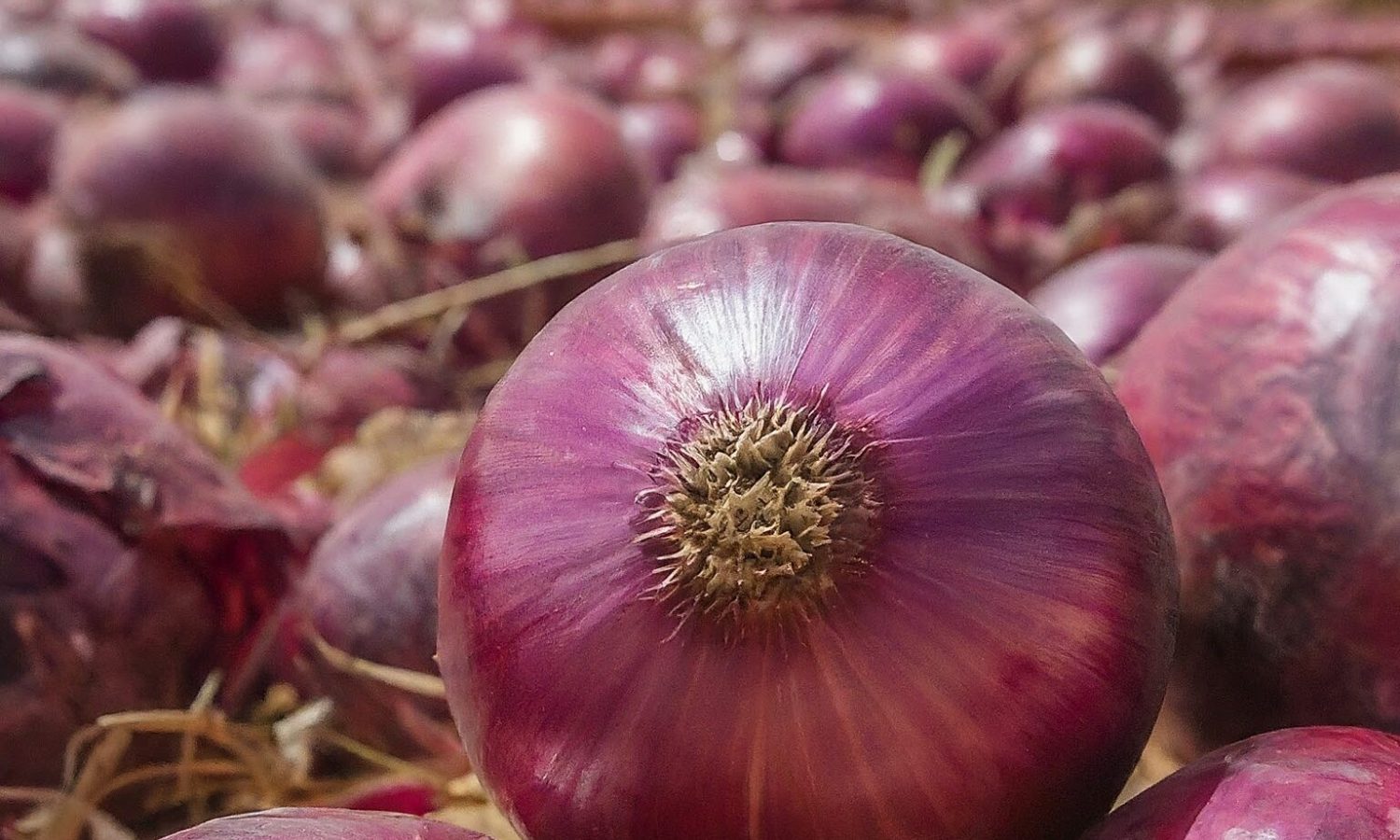 Gemini_Generated_Image_8z88m08z88m08z88