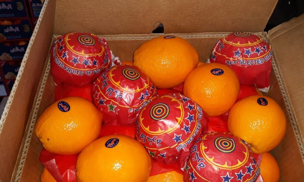 WhatsApp Image 2024-11-14 at 1.13.00 PM (1)