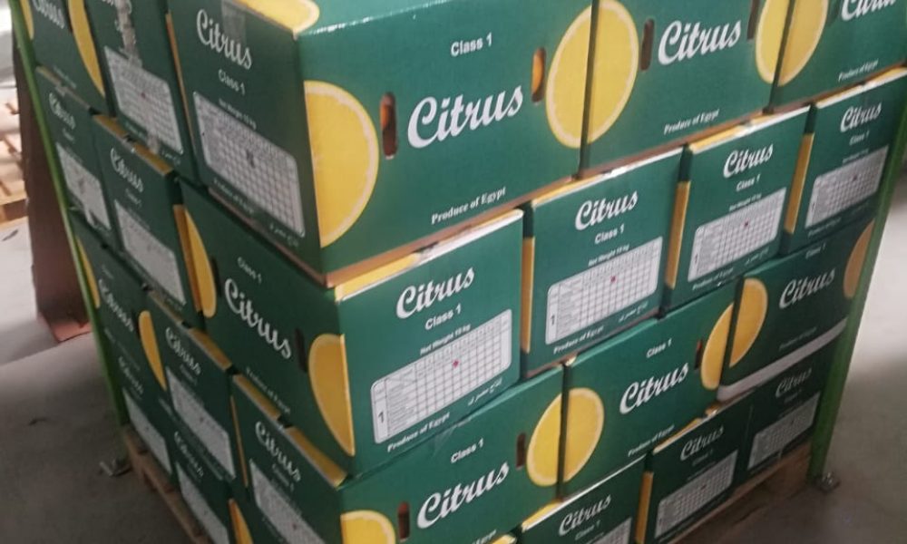 WhatsApp Image 2024-11-14 at 1.13.01 PM