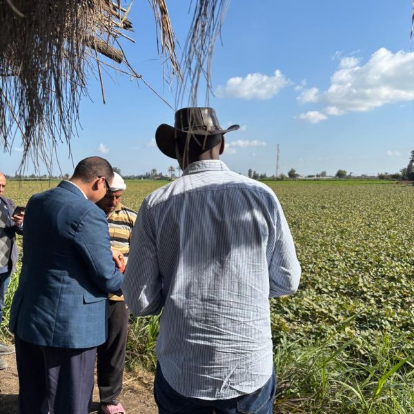 WhatsApp Image 2024-12-05 at 6.49.18 PM (1)