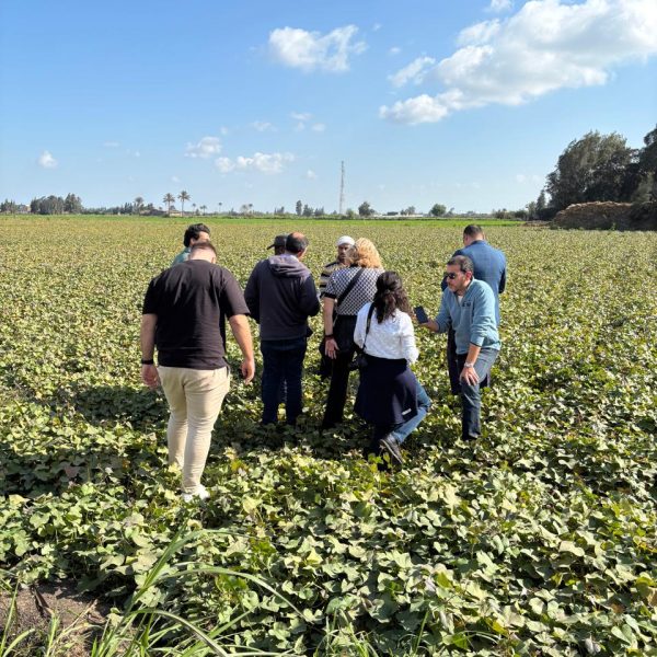 WhatsApp Image 2024-12-05 at 6.49.18 PM (2)