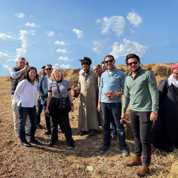 WhatsApp Image 2024-12-05 at 6.49.18 PM