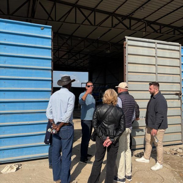 WhatsApp Image 2024-12-05 at 6.49.18 PM