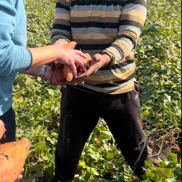 WhatsApp Image 2024-12-05 at 6.49.19 PM